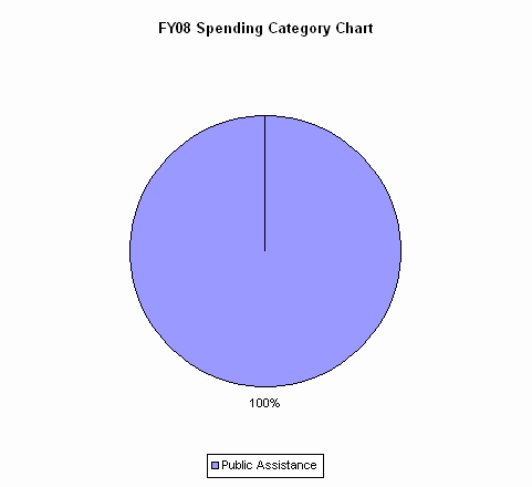 Pie Chart: Public Assistance=100%