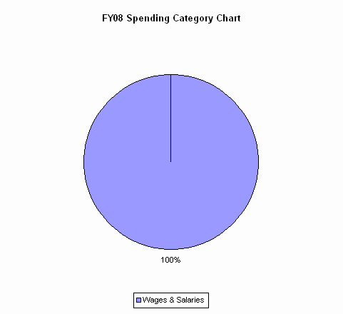 Pie Chart: Wages & Salaries=100%