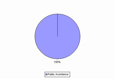 Pie Chart: Public Assistance=100%