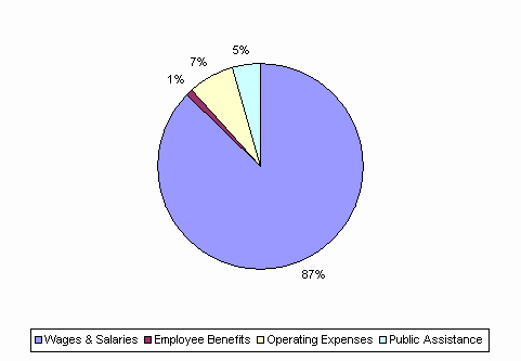 Pie Chart: Wages & Salaries=87%, Employee Benefits=1%, Operating Expenses=7%, Public Assistance=5%