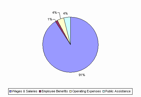 Pie Chart: Wages & Salaries=91%, Employee Benefits=1%, Operating Expenses=4%, Public Assistance=4%