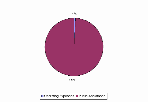 Pie Chart: Operating Expenses=1%, Public Assistance=99%