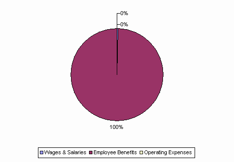 Pie Chart: Wages & Salaries=0%, Employee Benefits=100%, Operating Expenses=0%