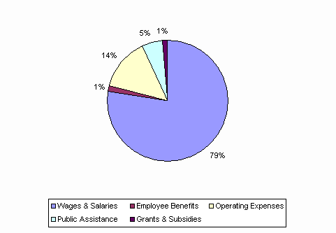 Pie Chart: Wages & Salaries=79%, Employee Benefits=1%, Operating Expenses=14%, Public Assistance=5%, Grants & Subsidies=1%