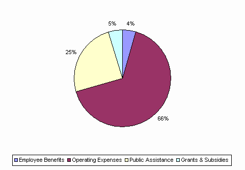 Pie Chart: Employee Benefits=4%, Operating Expenses=66%, Public Assistance=25%, Grants & Subsidies=5%