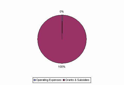 Pie Chart: Operating Expenses=0%, Grants & Subsidies=100%