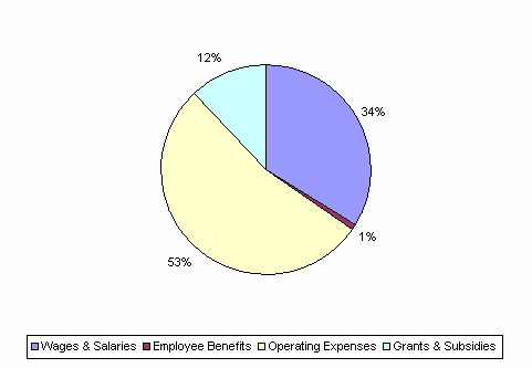 Pie Chart: Wages & Salaries=34%, Employee Benefits=1%, Operating Expenses=53%, Grants & Subsidies=12%