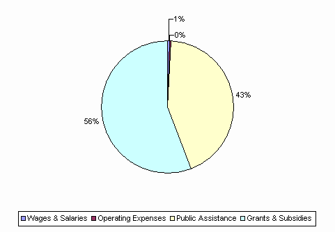 Pie Chart: Wages & Salaries=1%, Operating Expenses=0%, Public Assistance=43%, Grants & Subsidies=56%