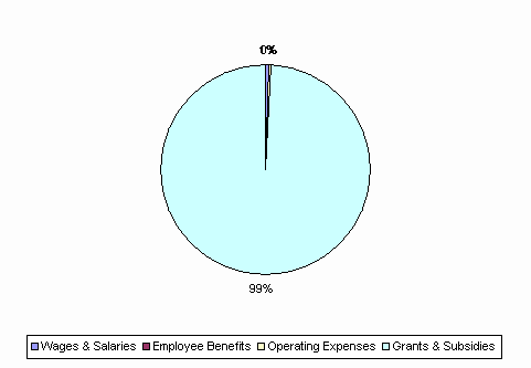 Pie Chart: Wages & Salaries=1%, Employee Benefits=0%, Operating Expenses=0%, Grants & Subsidies=99%