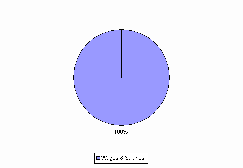 Pie Chart: Wages & Salaries=100%