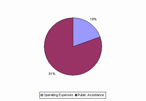 Pie Chart: Operating Expenses=19%, Public Assistance=81%