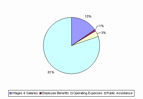 Pie Chart: Wages & Salaries=15%, Employee Benefits=1%, Operating Expenses=3%, Public Assistance=81%