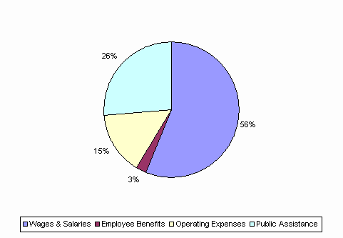 Pie Chart: Wages & Salaries=56%, Employee Benefits=3%, Operating Expenses=15%, Public Assistance=26%