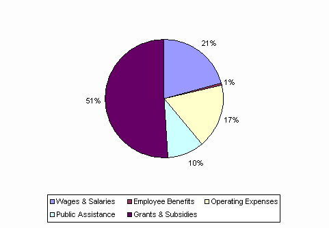 Pie Chart: Wages & Salaries=21%, Employee Benefits=1%, Operating Expenses=17%, Public Assistance=10%, Grants & Subsidies=51%