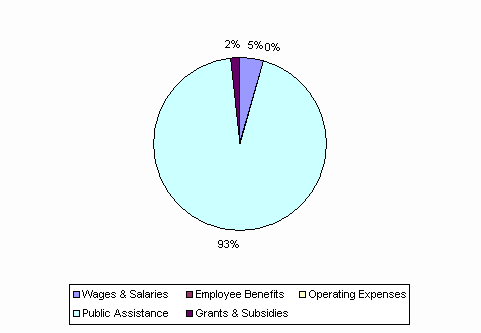 Pie Chart: Wages & Salaries=5%, Employee Benefits=0%, Operating Expenses=0%, Public Assistance=93%, Grants & Subsidies=2%