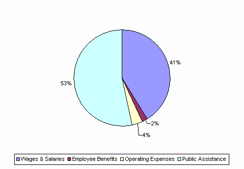 Pie Chart: Wages & Salaries=41%, Employee Benefits=2%, Operating Expenses=4%, Public Assistance=53%