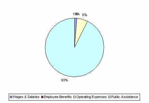 Pie Chart: Wages & Salaries=1%, Employee Benefits=0%, Operating Expenses=6%, Public Assistance=93%