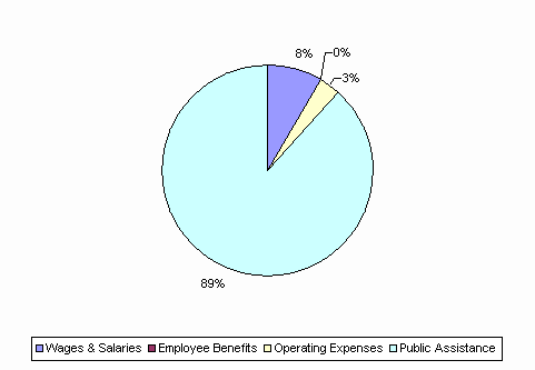 Pie Chart: Wages & Salaries=8%, Employee Benefits=0%, Operating Expenses=3%, Public Assistance=89%