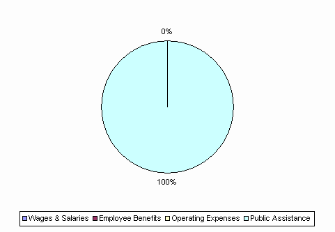 Pie Chart: Wages & Salaries=0%, Employee Benefits=0%, Operating Expenses=0%, Public Assistance=100%