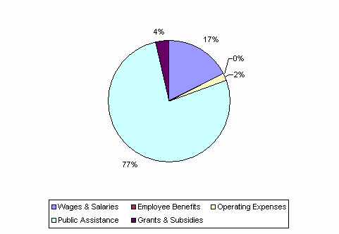 Pie Chart: Wages & Salaries=17%, Employee Benefits=0%, Operating Expenses=2%, Public Assistance=77%, Grants & Subsidies=4%