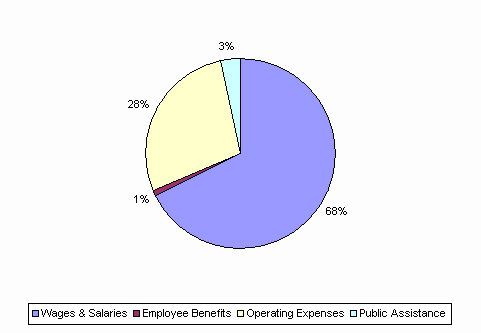 Pie Chart: Wages & Salaries=68%, Employee Benefits=1%, Operating Expenses=28%, Public Assistance=3%