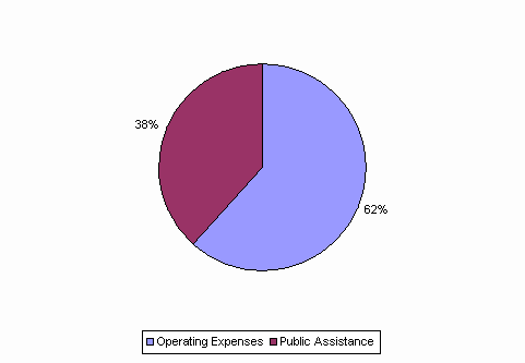 Pie Chart: Operating Expenses=62%, Public Assistance=38%