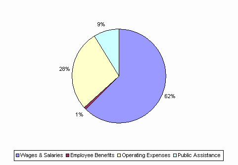 Pie Chart: Wages & Salaries=62%, Employee Benefits=1%, Operating Expenses=28%, Public Assistance=9%