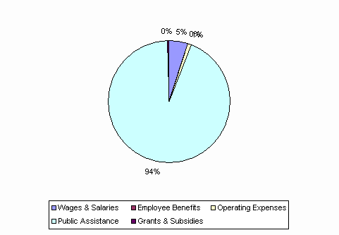 Pie Chart: Wages & Salaries=5%, Employee Benefits=0%, Operating Expenses=1%, Public Assistance=94%, Grants & Subsidies=0%