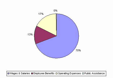 Pie Chart: Wages & Salaries=70%, Employee Benefits=13%, Operating Expenses=17%, Public Assistance=0%