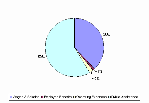 Pie Chart: Wages & Salaries=38%, Employee Benefits=1%, Operating Expenses=2%, Public Assistance=59%