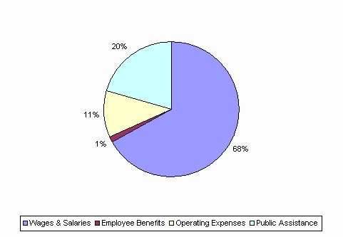 Pie Chart: Wages & Salaries=68%, Employee Benefits=1%, Operating Expenses=11%, Public Assistance=20%