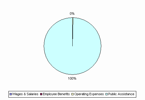 Pie Chart: Wages & Salaries=0%, Employee Benefits=0%, Operating Expenses=0%, Public Assistance=100%