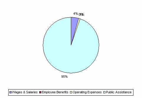 Pie Chart: Wages & Salaries=4%, Employee Benefits=0%, Operating Expenses=1%, Public Assistance=95%