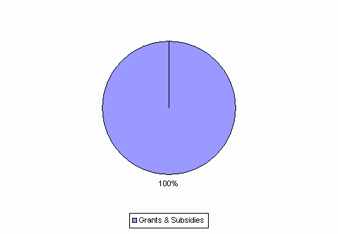 Pie Chart: Grants & Subsidies=100%