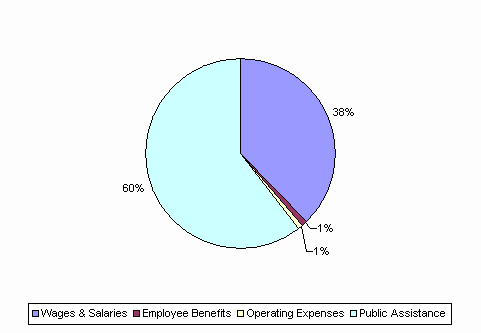 Pie Chart: Wages & Salaries=38%, Employee Benefits=1%, Operating Expenses=1%, Public Assistance=60%