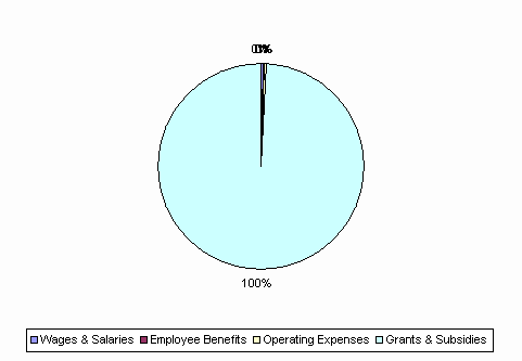 Pie Chart: Wages & Salaries=0%, Employee Benefits=0%, Operating Expenses=0%, Grants & Subsidies=100%