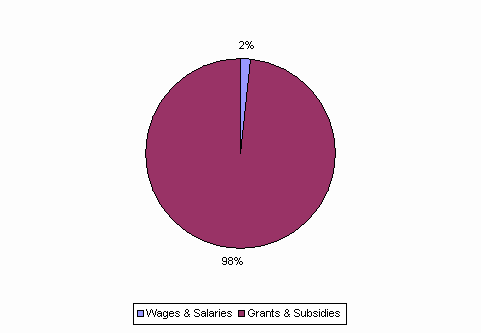 Pie Chart: Wages & Salaries=2%, Grants & Subsidies=98%