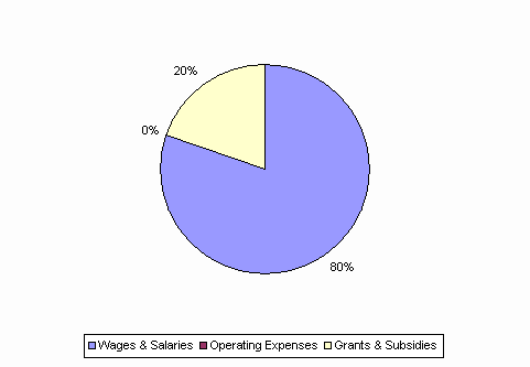 Pie Chart: Wages & Salaries=80%, Operating Expenses=0%, Grants & Subsidies=20%