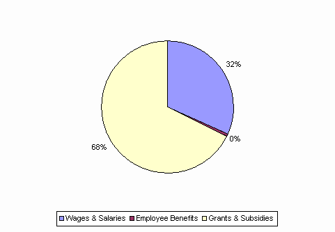 Pie Chart: Wages & Salaries=32%, Employee Benefits=0%, Grants & Subsidies=68%