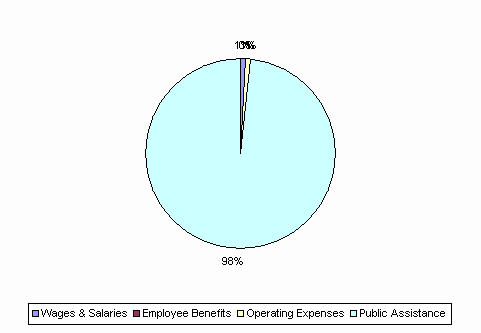 Pie Chart: Wages & Salaries=1%, Employee Benefits=0%, Operating Expenses=1%, Public Assistance=98%