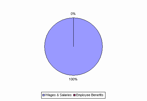 Pie Chart: Wages & Salaries=100%, Employee Benefits=0%