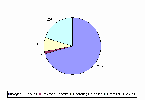 Pie Chart: Wages & Salaries=71%, Employee Benefits=1%, Operating Expenses=8%, Grants & Subsidies=20%