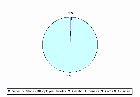 Pie Chart: Wages & Salaries=1%, Employee Benefits=0%, Operating Expenses=0%, Grants & Subsidies=99%