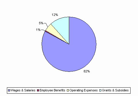 Pie Chart: Wages & Salaries=82%, Employee Benefits=1%, Operating Expenses=5%, Grants & Subsidies=12%