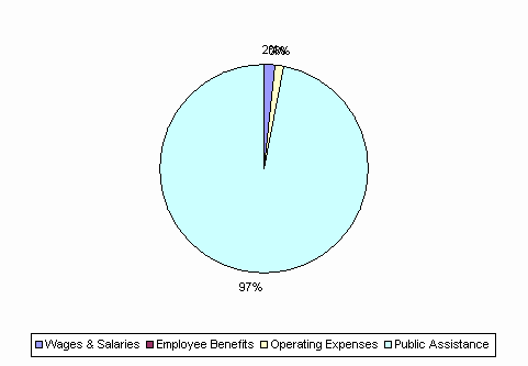 Pie Chart: Wages & Salaries=2%, Employee Benefits=0%, Operating Expenses=1%, Public Assistance=97%