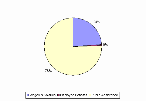 Pie Chart: Wages & Salaries=24%, Employee Benefits=0%, Public Assistance=76%