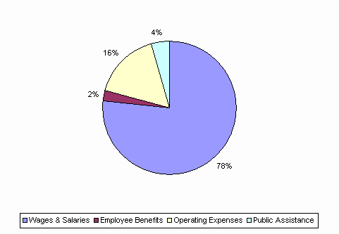 Pie Chart: Wages & Salaries=78%, Employee Benefits=2%, Operating Expenses=16%, Public Assistance=4%