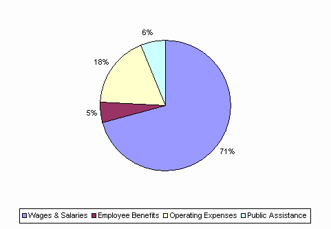 Pie Chart: Wages & Salaries=71%, Employee Benefits=5%, Operating Expenses=18%, Public Assistance=6%