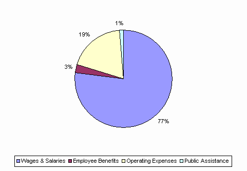 Pie Chart: Wages & Salaries=77%, Employee Benefits=3%, Operating Expenses=19%, Public Assistance=1%