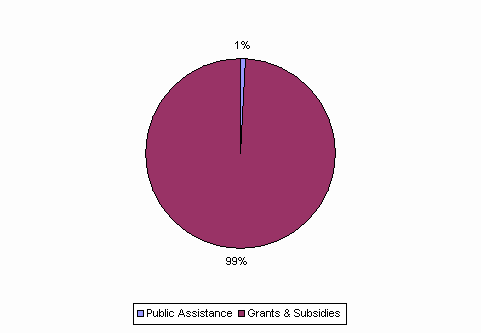 Pie Chart: Public Assistance=1%, Grants & Subsidies=99%